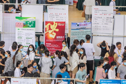 毕业生就业压力加剧 河南启动长期未就业群体动态清零计划